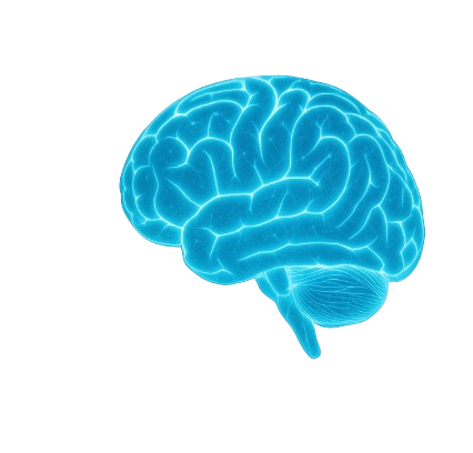 Cerebro IA