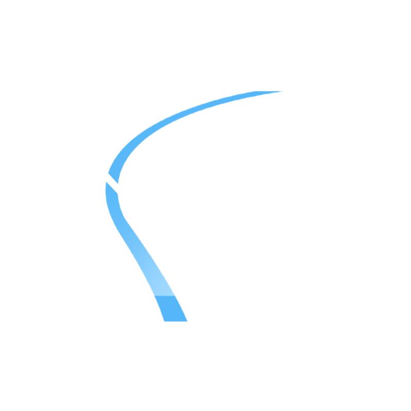LOGO NASH SEM FUNDO